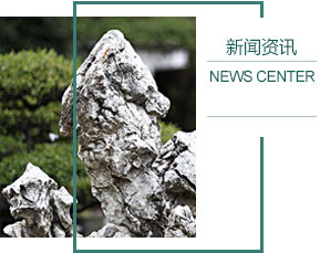龙爪镇